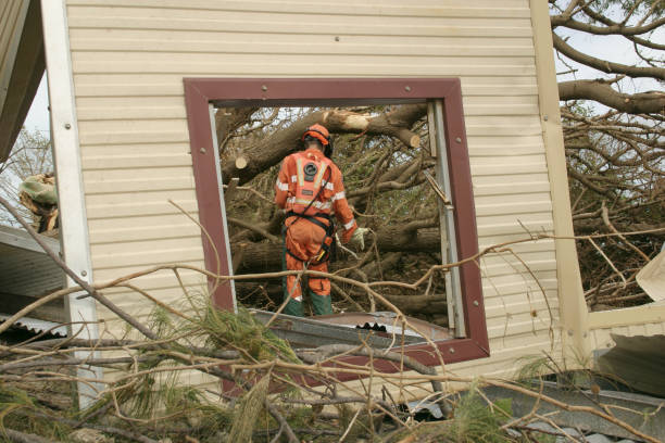 Best Tree Risk Assessment  in , AR